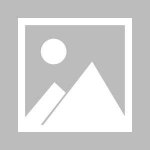 开云APP-直击荣耀时刻！“大马”冠军来了！|全程马拉松|马拉松|选手|大连|志愿者